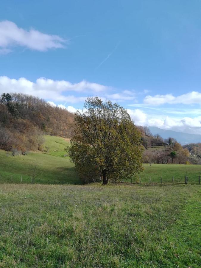 028 - Agriturismo "Il Boschetto" Con Piscina, Pace E Natura - Camera Familiare Cavizzano Exterior photo